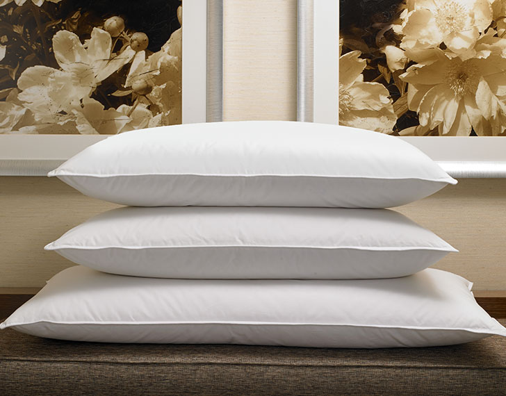 buy sheraton pillows